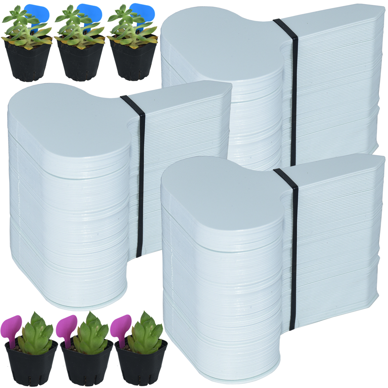 Plant Label Tags - 50PCS Garden Plant Labels Marker 50*70MM
