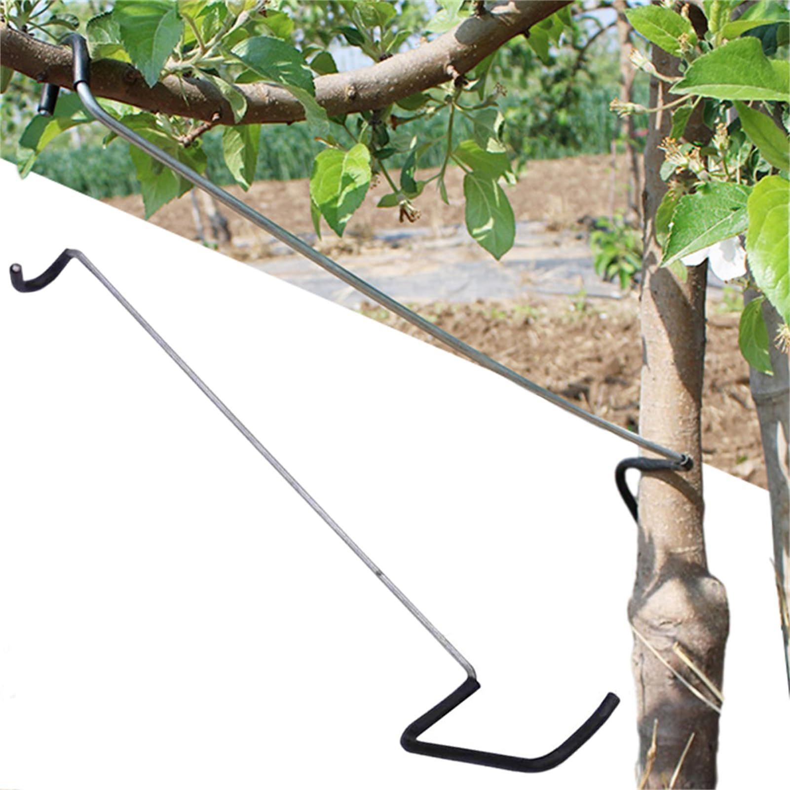 Gardening Tools Usa - Fruit Tree Branch Spreader 10Pcs/set Garden