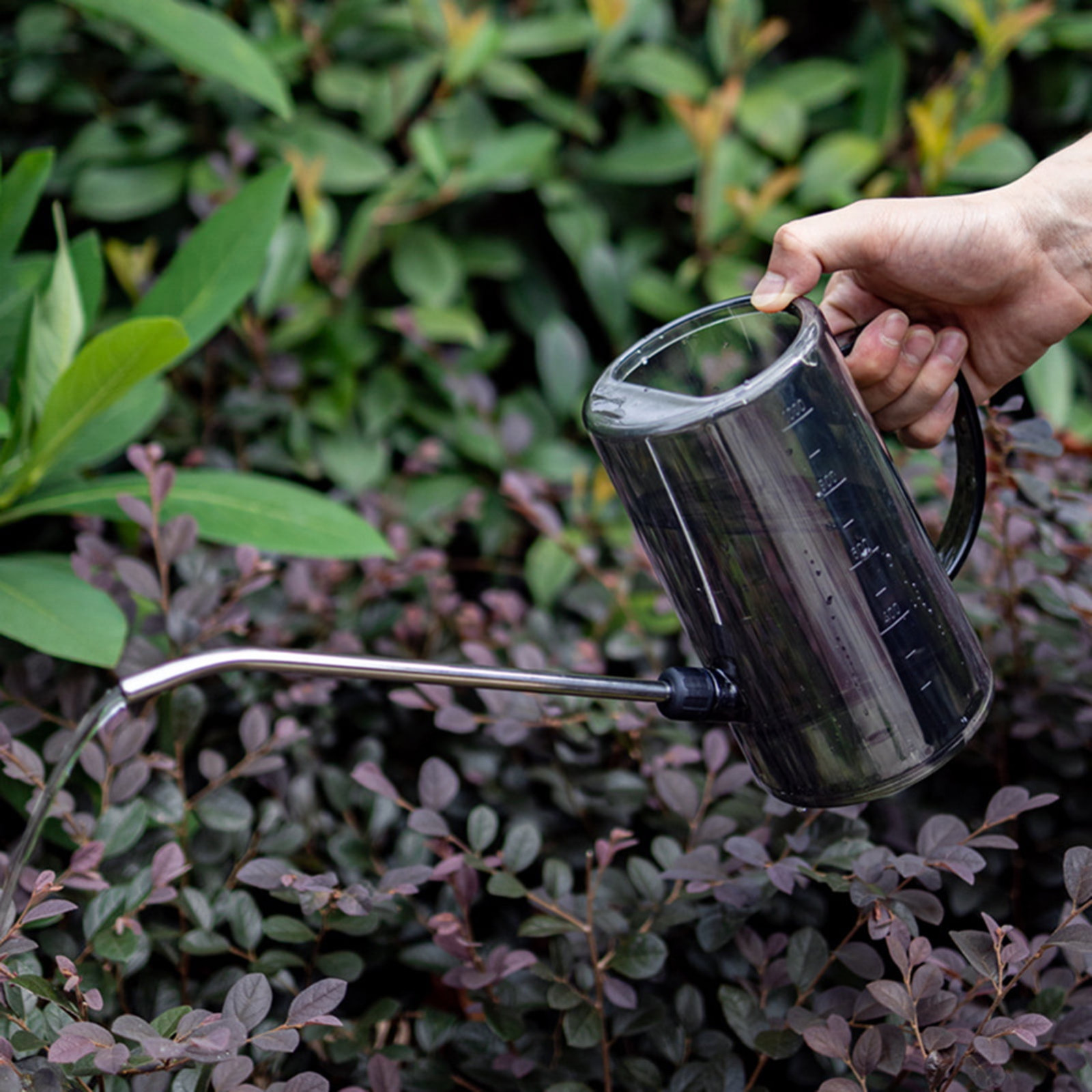 Watering Can Long Spout - Long Spout Watering Can Indoor Plant