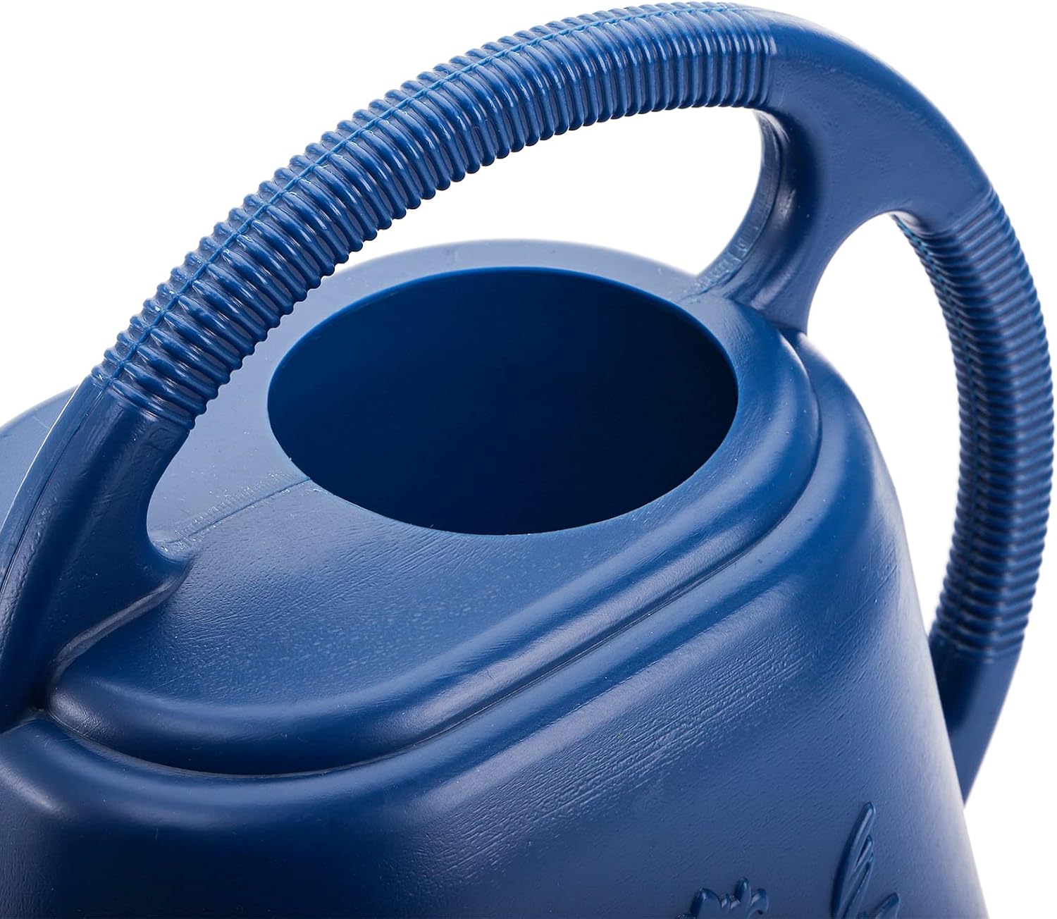 1-Gallon Plastic Watering Can  - Watering Can Long Spout reseña y precio