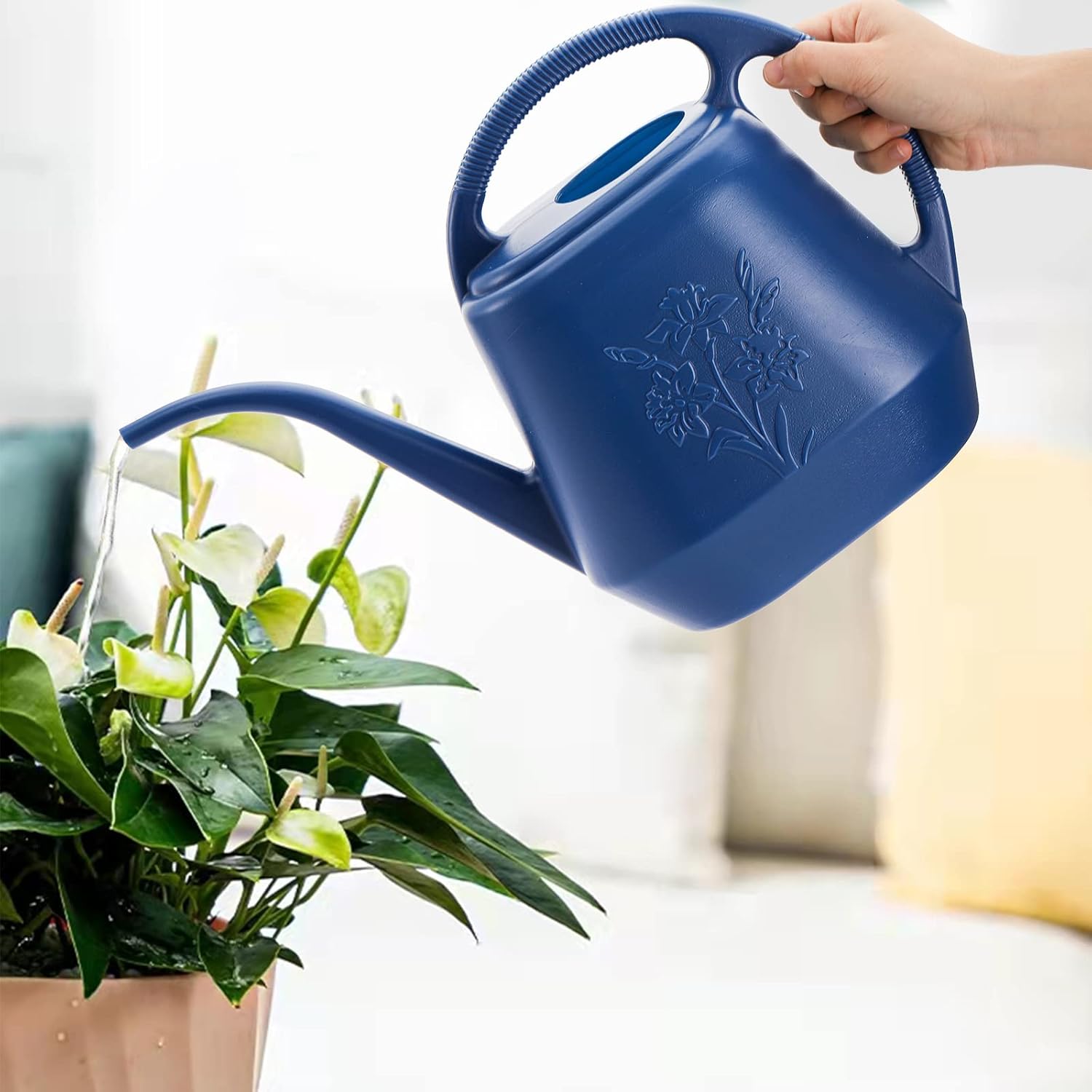 1-Gallon Plastic Watering Can  - Watering Can Long Spout reseña y precio