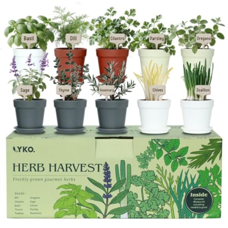 10 Indoor Herb Garden Kit 33pc - Gardening Tools Gift Ideas reseña y precio