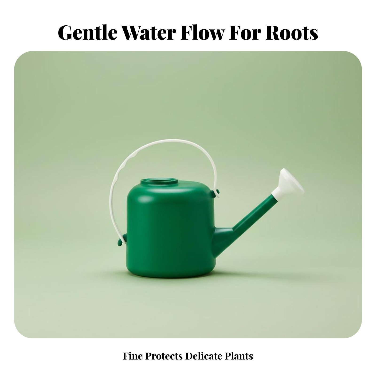 Long Spout Watering Can Large  - Watering Can Long Spout reseña y precio