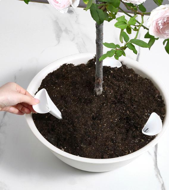 Garden Bonsai Bottom Breathabl - Root Watering Spike reseña y precio