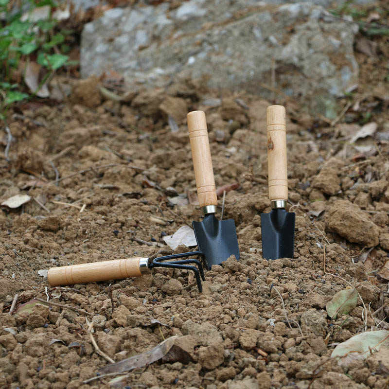 3Pcs/Set Mini Garden Tool Set  - Gardening Tools Usa reseña y precio