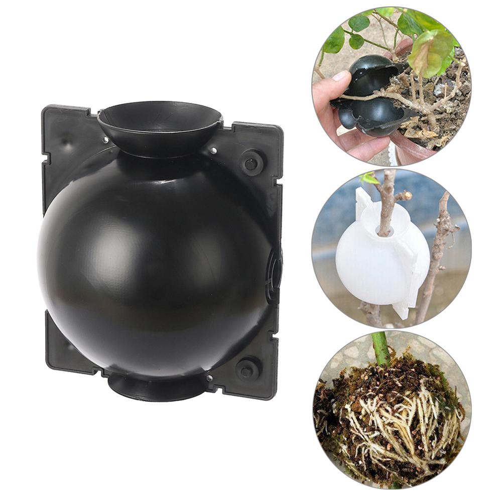 Plant High-Pressure Breeding B - Root Watering Spike reseña y precio