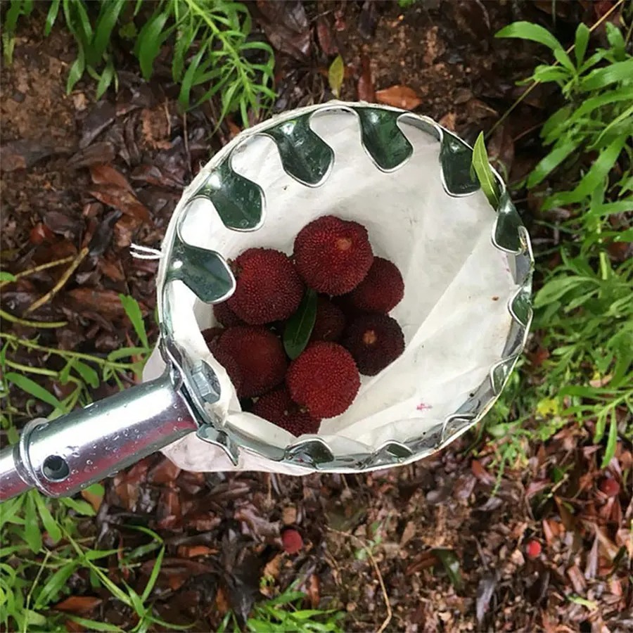 3-in-1 Fruit Harvesting Tool S - Gardening Tools Usa reseña y precio