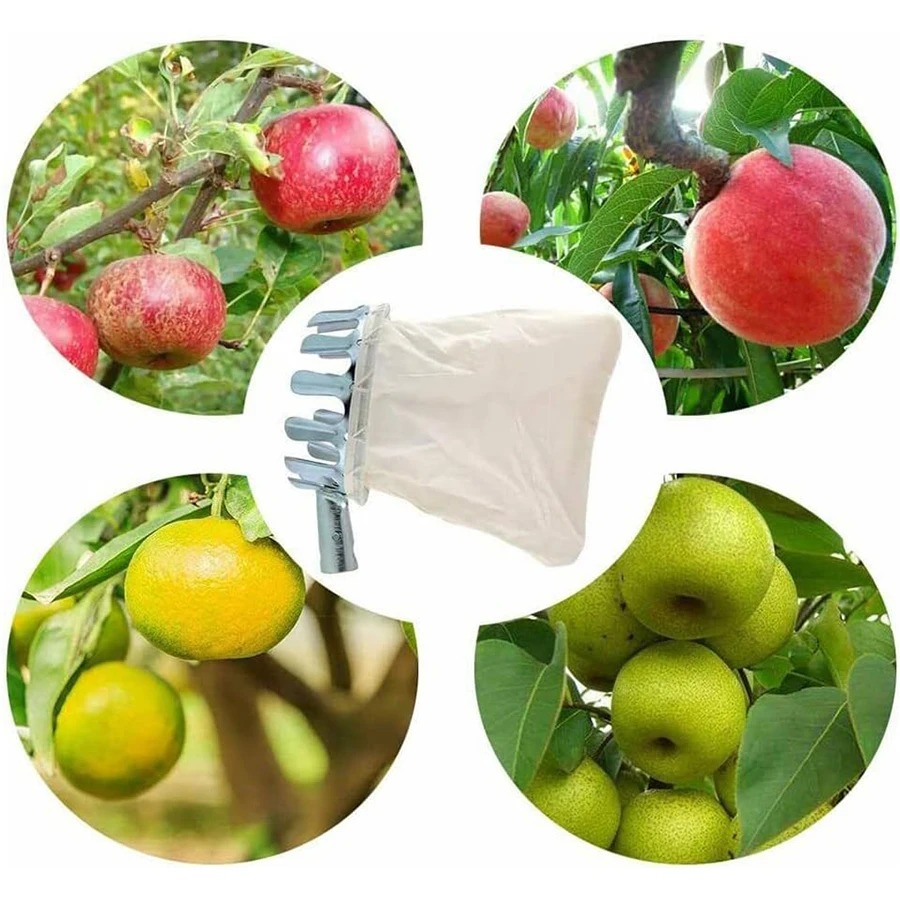 3-in-1 Fruit Harvesting Tool S - Gardening Tools Usa reseña y precio