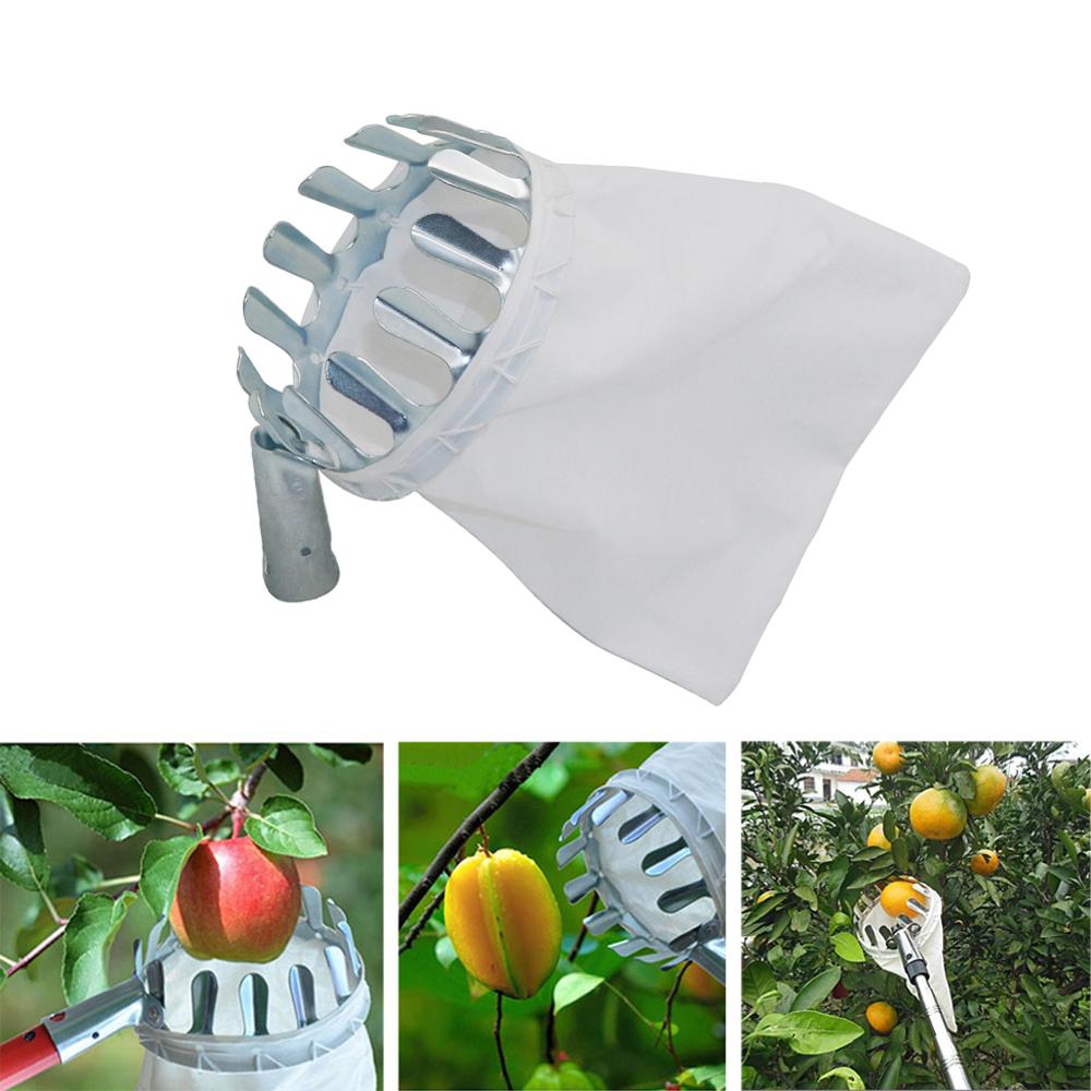 Garden Pruning Fruit Picker Ga - Gardening Tools Long reseña y precio