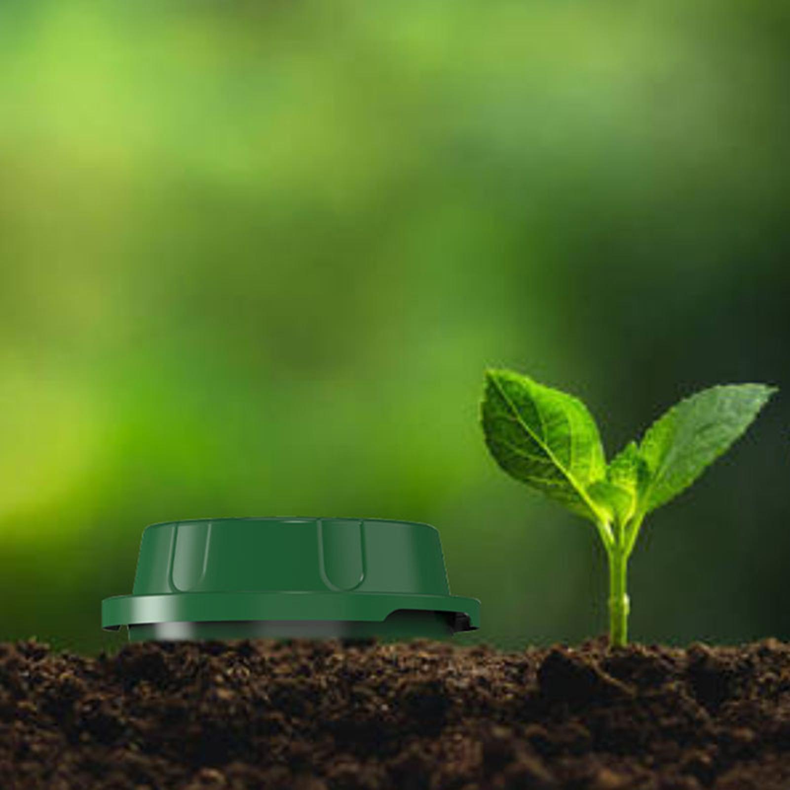 Inground Worm Composter With V - Compost Bin reseña y precio