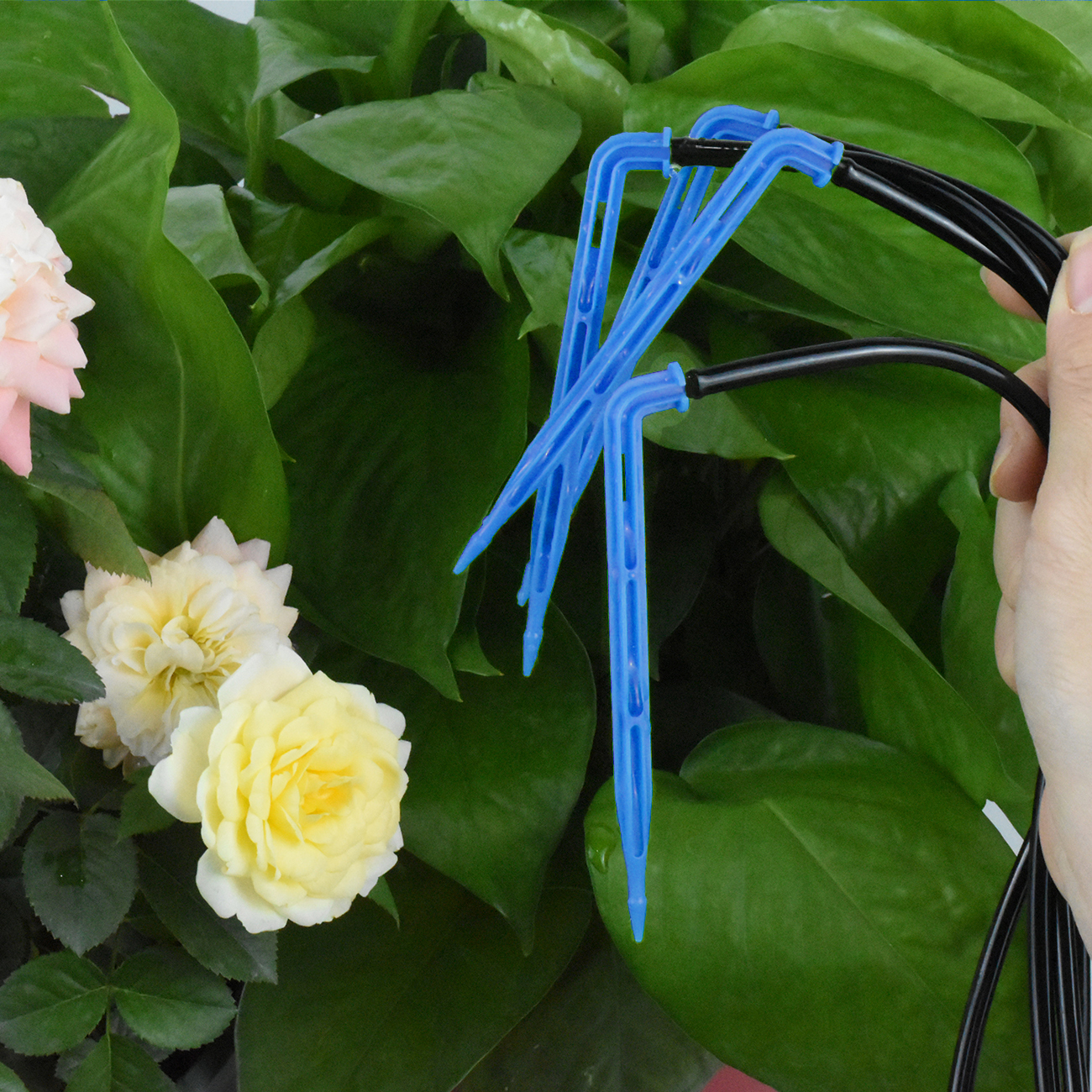 KESLA Drip Irrigation Kit 10-1 - Root Watering Spike reseña y precio
