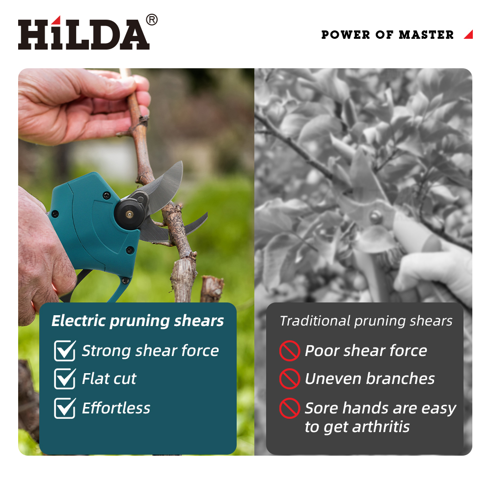 HILDA 18V Brushless Cordless E - Gardening Tools Usa reseña y precio