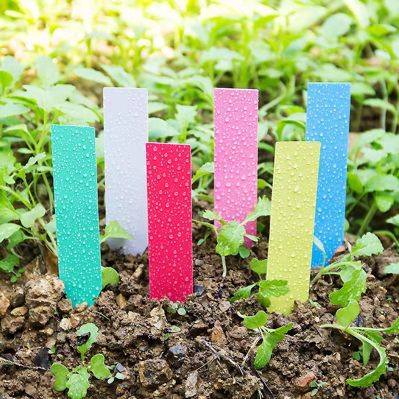 100Pcs Garden Plant Labels Pla - Plant Label Tags reseña y precio