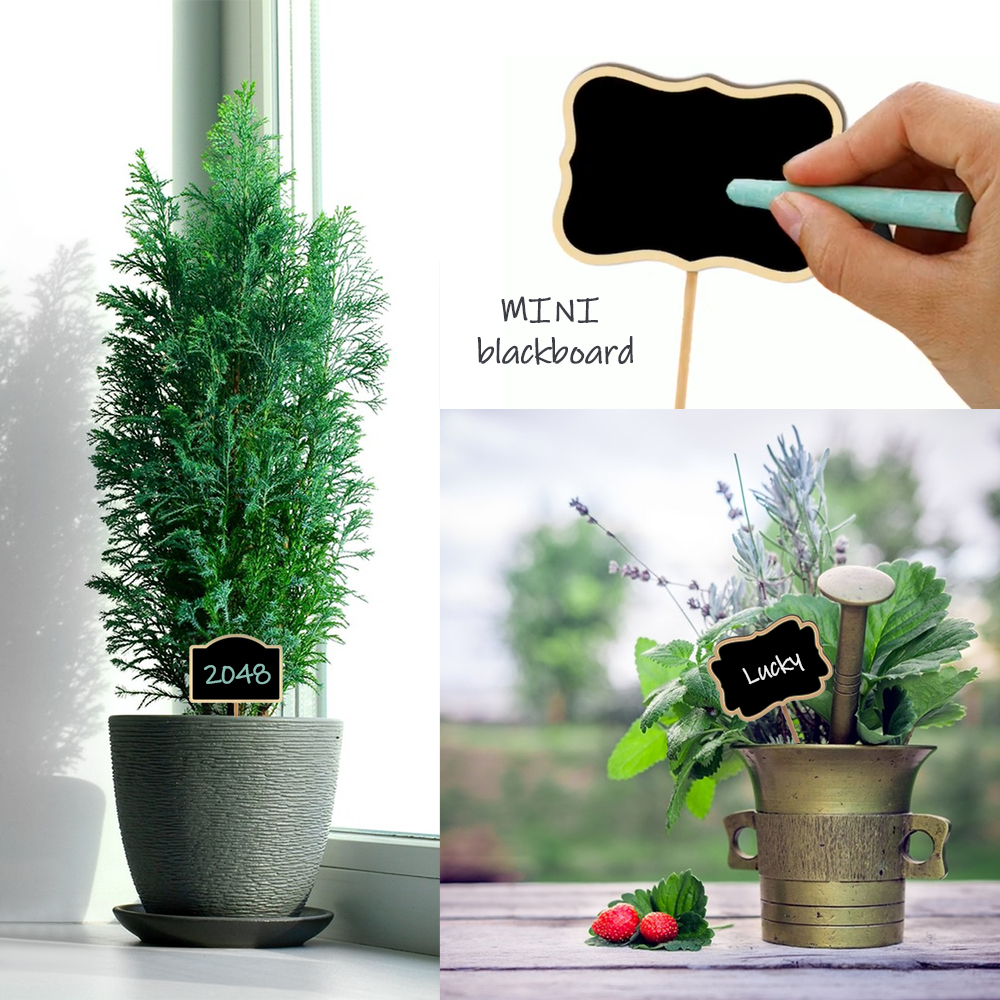 10PCS Wood Mini Chalkboard Sig - Plant Label Tags reseña y precio