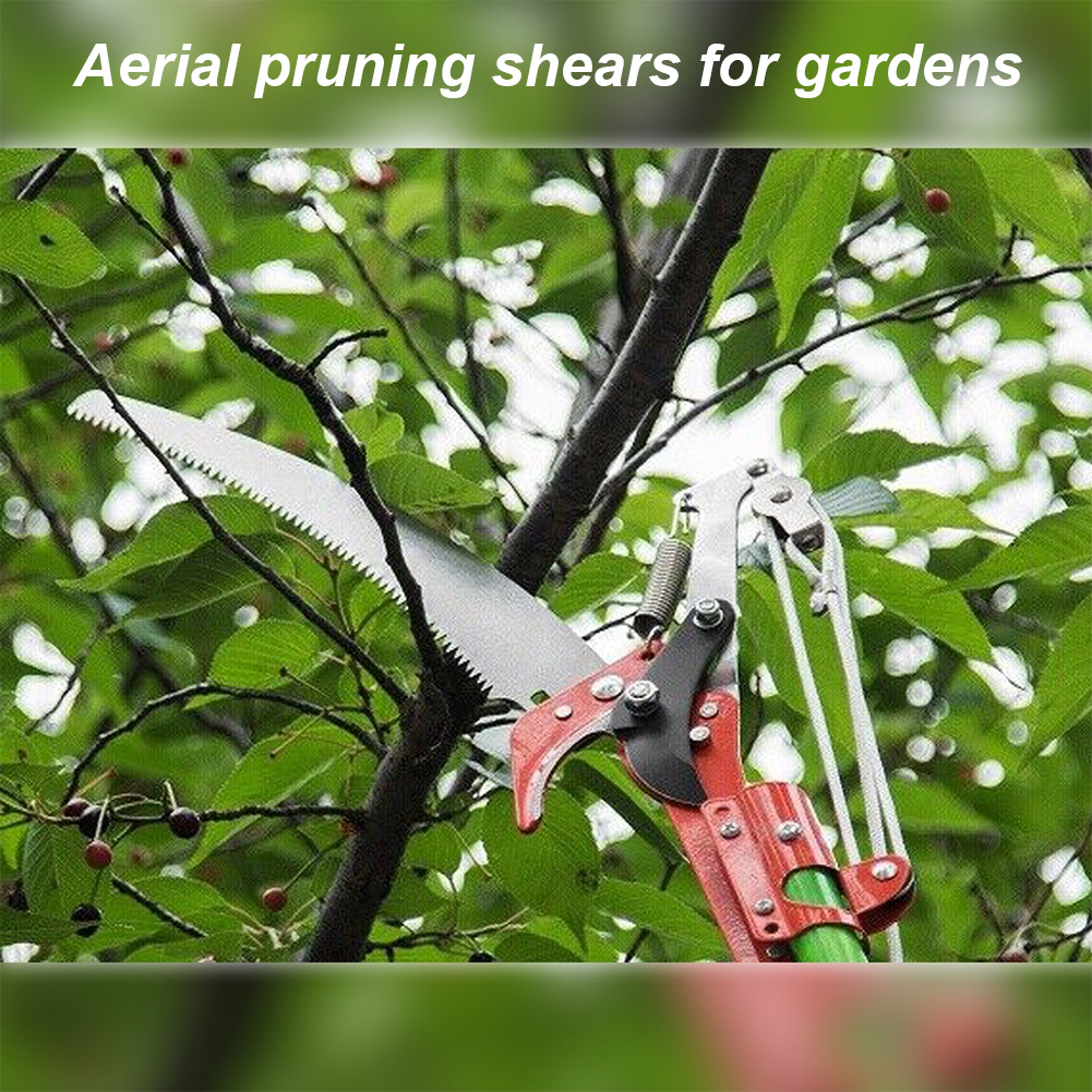 Pruning Shears Labor-Saving Hi - Gardening Tools Picture reseña y precio