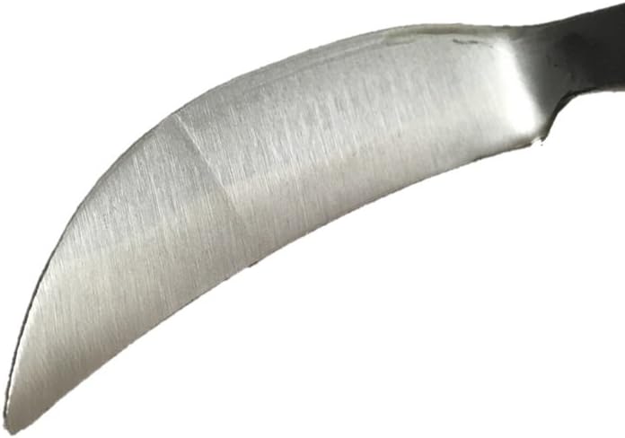 Japanese Hand Hoe for Weeding  - Gardening Hand Tools Japanese reseña y precio