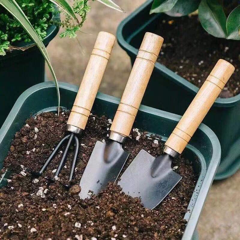3PC/1Set Mini Gardening Tools  - Gardening Tools Usa reseña y precio