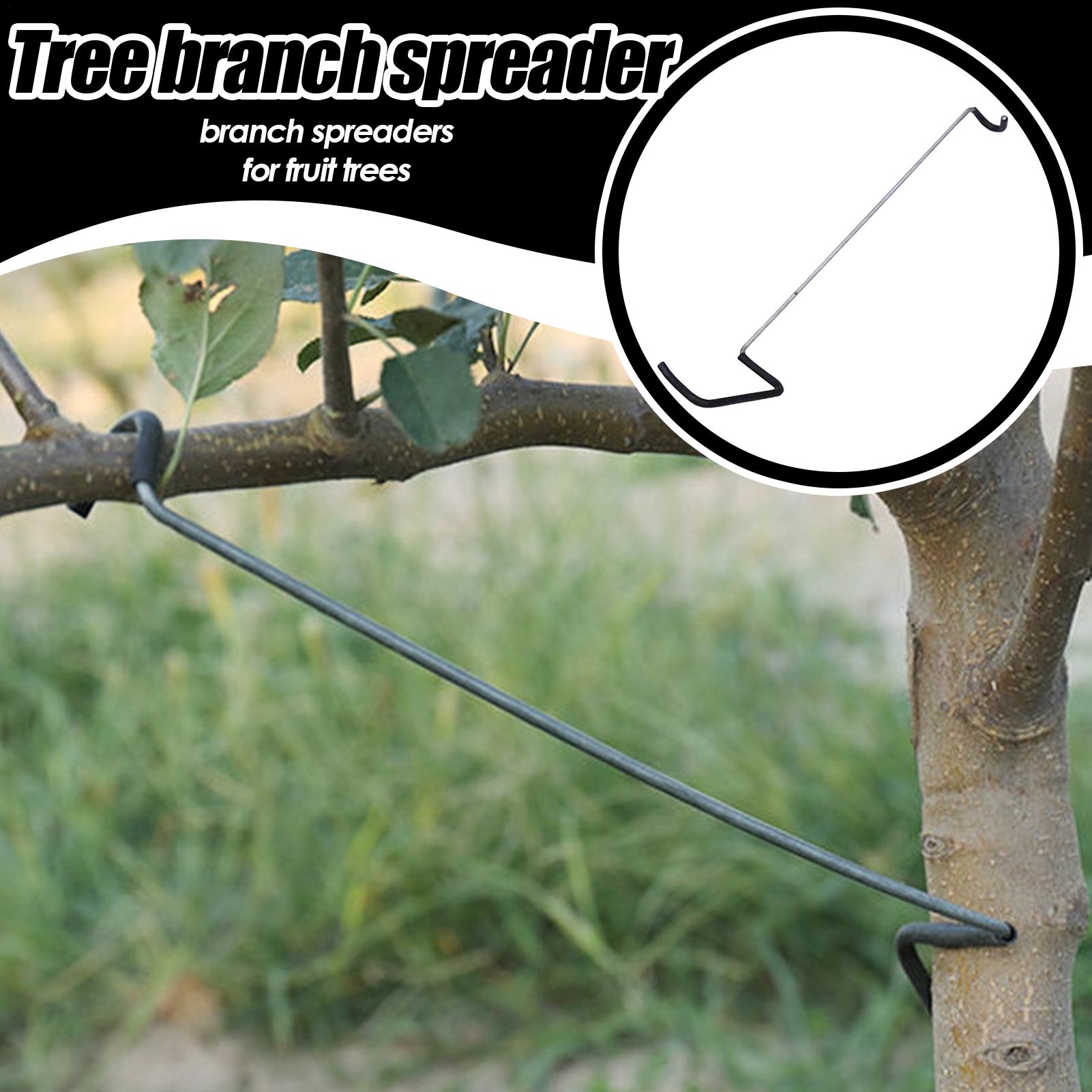 Fruit Tree Branch Spreader 10P - Gardening Tools Usa reseña y precio