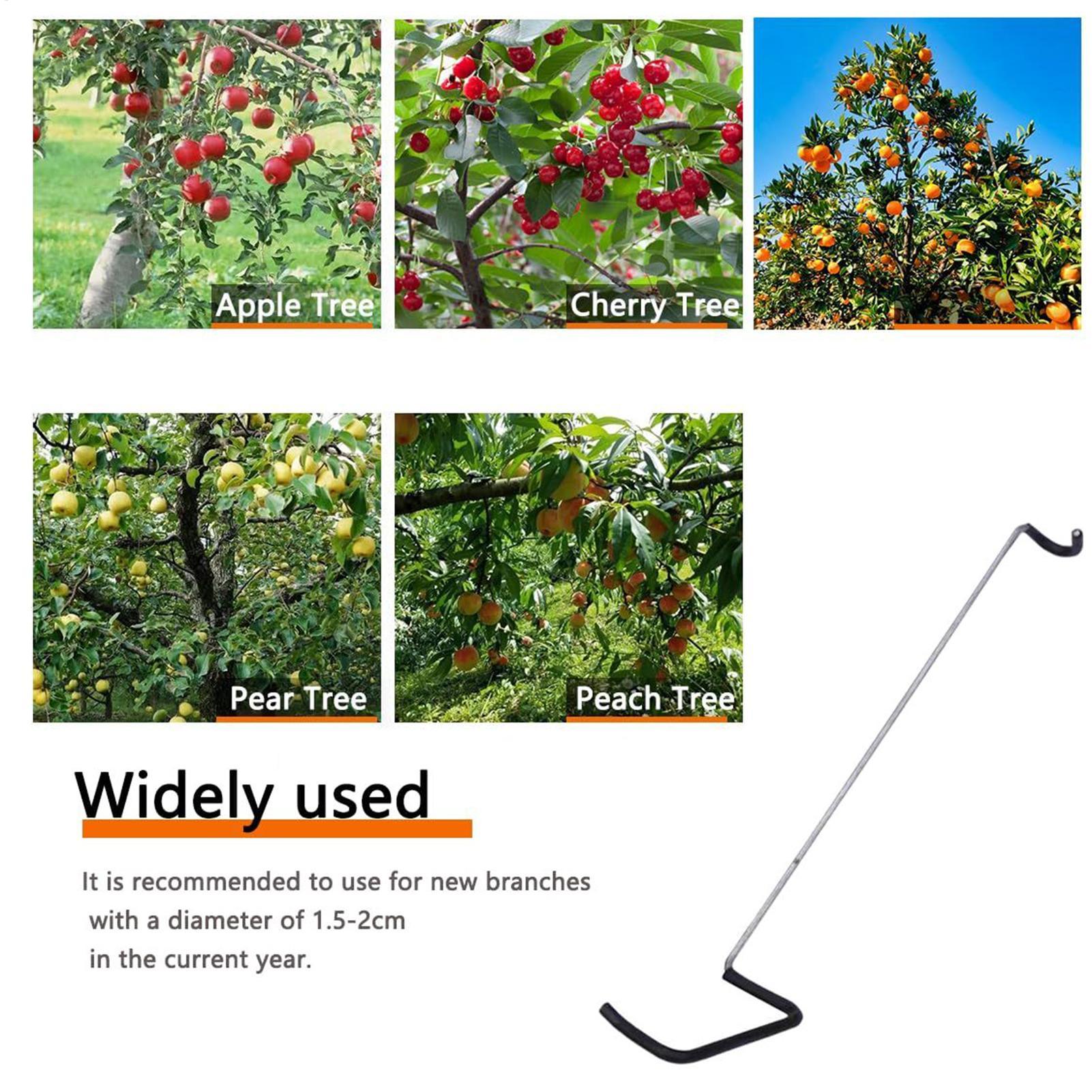 Fruit Tree Branch Spreader 10P - Gardening Tools Usa reseña y precio