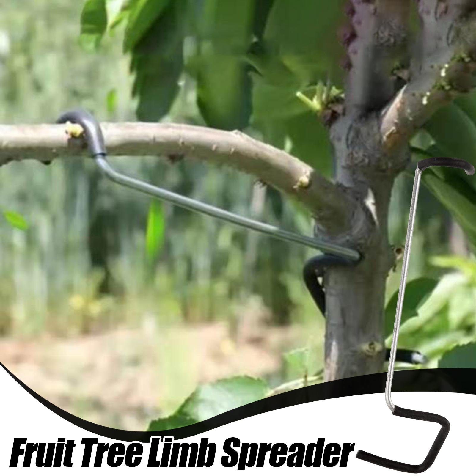 Fruit Tree Branch Spreader 10P - Gardening Tools Usa reseña y precio