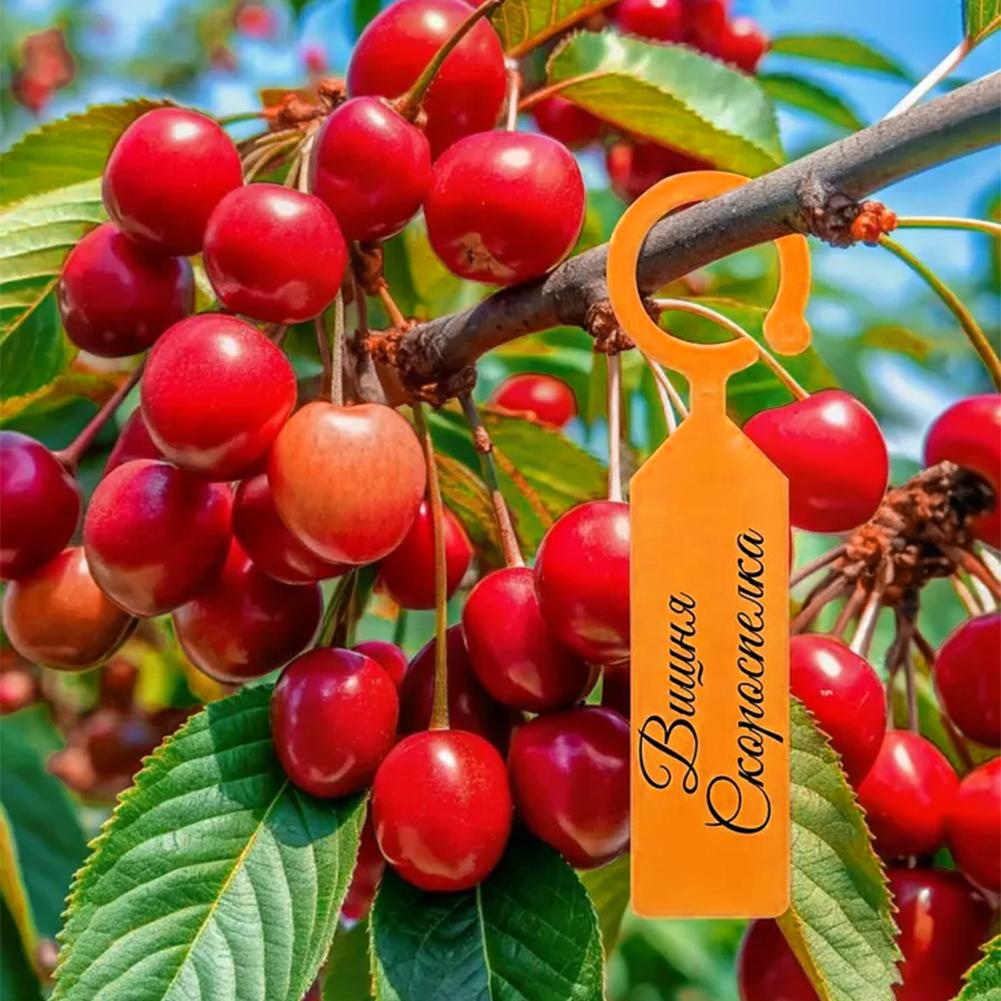 Garden Planting Tag Ring Hook  - Plant Label Tags reseña y precio