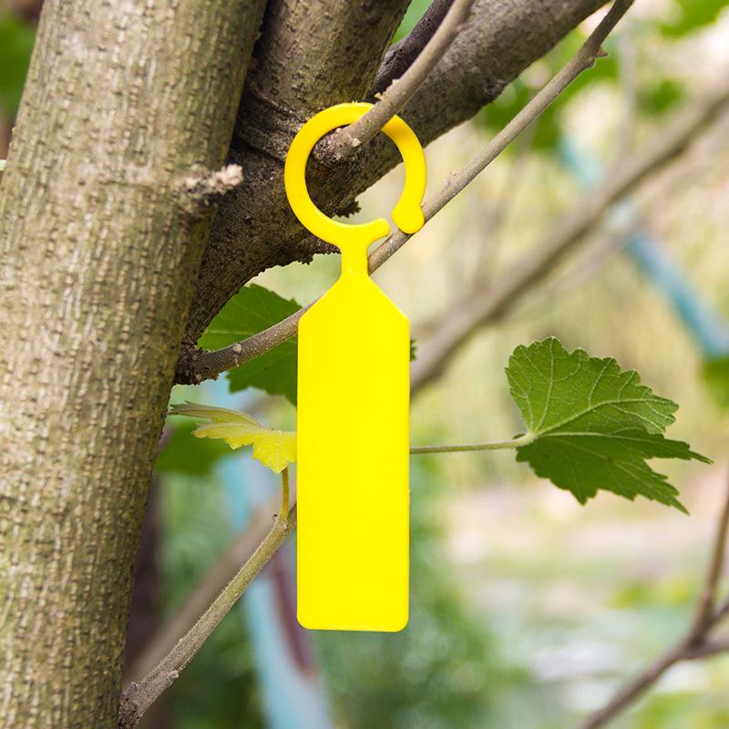 100PCS/Lot Plastic Hanging Pla - Plant Label Tags reseña y precio