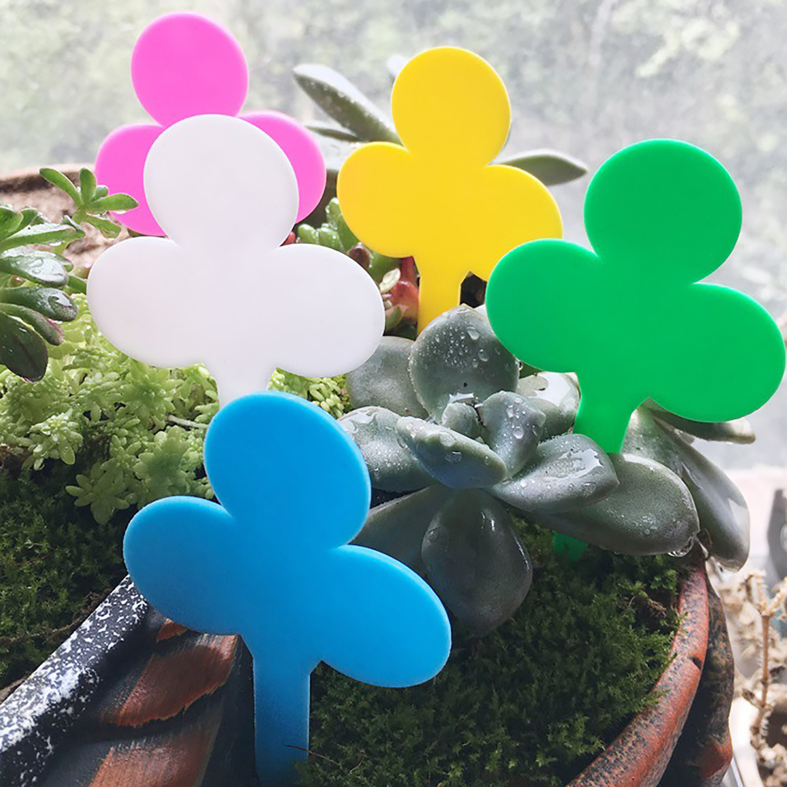 50/100Pcs Plant Labels Garden  - Plant Label Tags reseña y precio