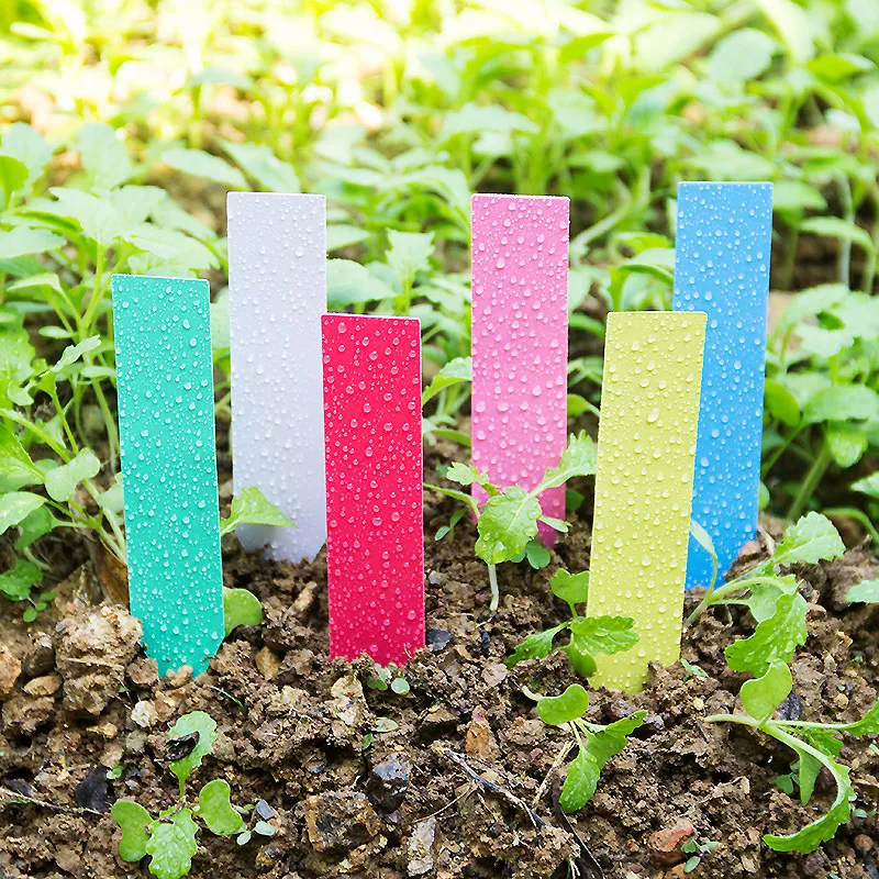 100pcs Thick 4inch Plant Label - Plant Label Tags reseña y precio