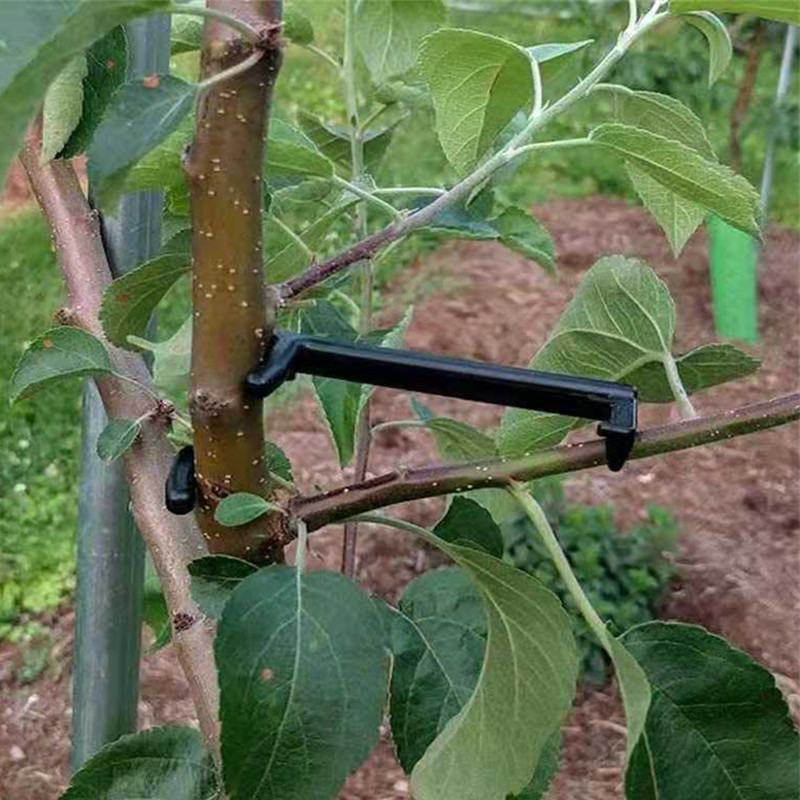 Fruit Tree Branch Puller Plant - Root Watering Spike reseña y precio