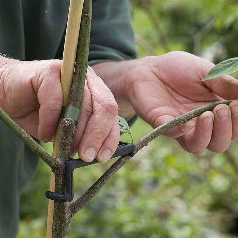 Fruit Tree Branch Puller Plant - Root Watering Spike reseña y precio