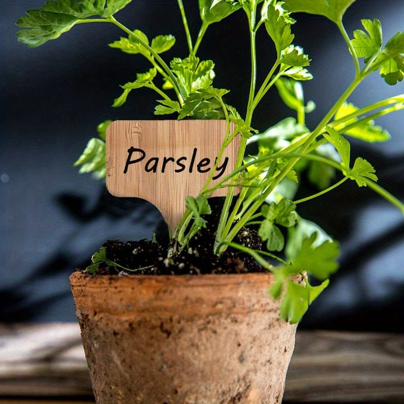Bamboo Plant Labels, T-Type Wo - Plant Label Tags reseña y precio