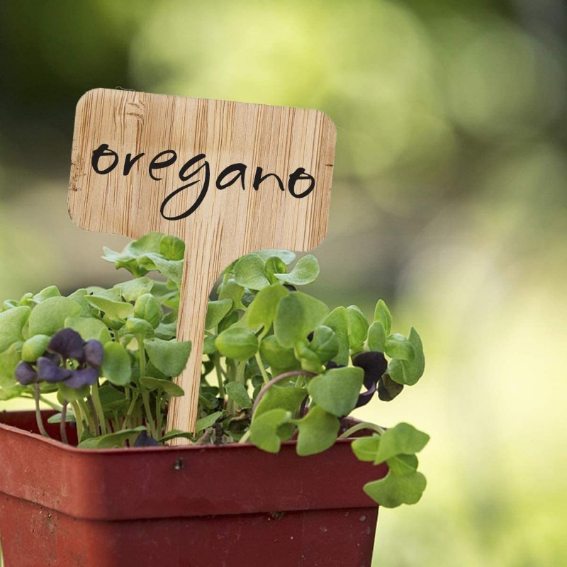Bamboo Plant Labels, T-Type Wo - Plant Label Tags reseña y precio