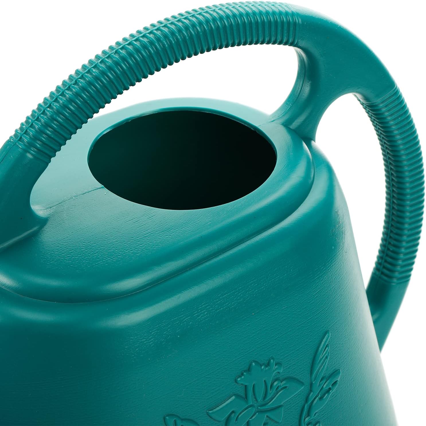 1-Gallon Plastic Watering Can  - Watering Can Long Spout reseña y precio