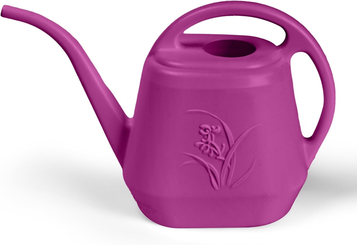 1/2 Gallon Watering Can with L - Watering Can Long Spout reseña y precio