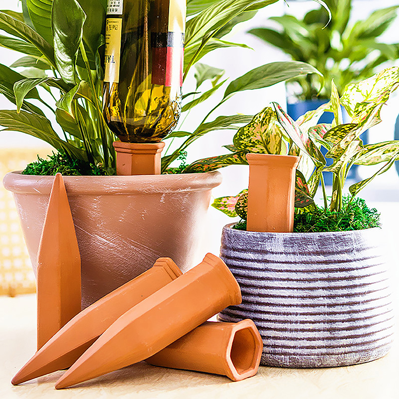 1Pc Plant Watering Device Clay - Root Watering Spike reseña y precio