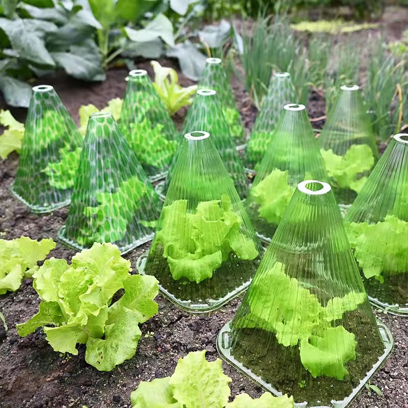 10/20pcs Plant Protective Cove - Gardening Tools Usa reseña y precio