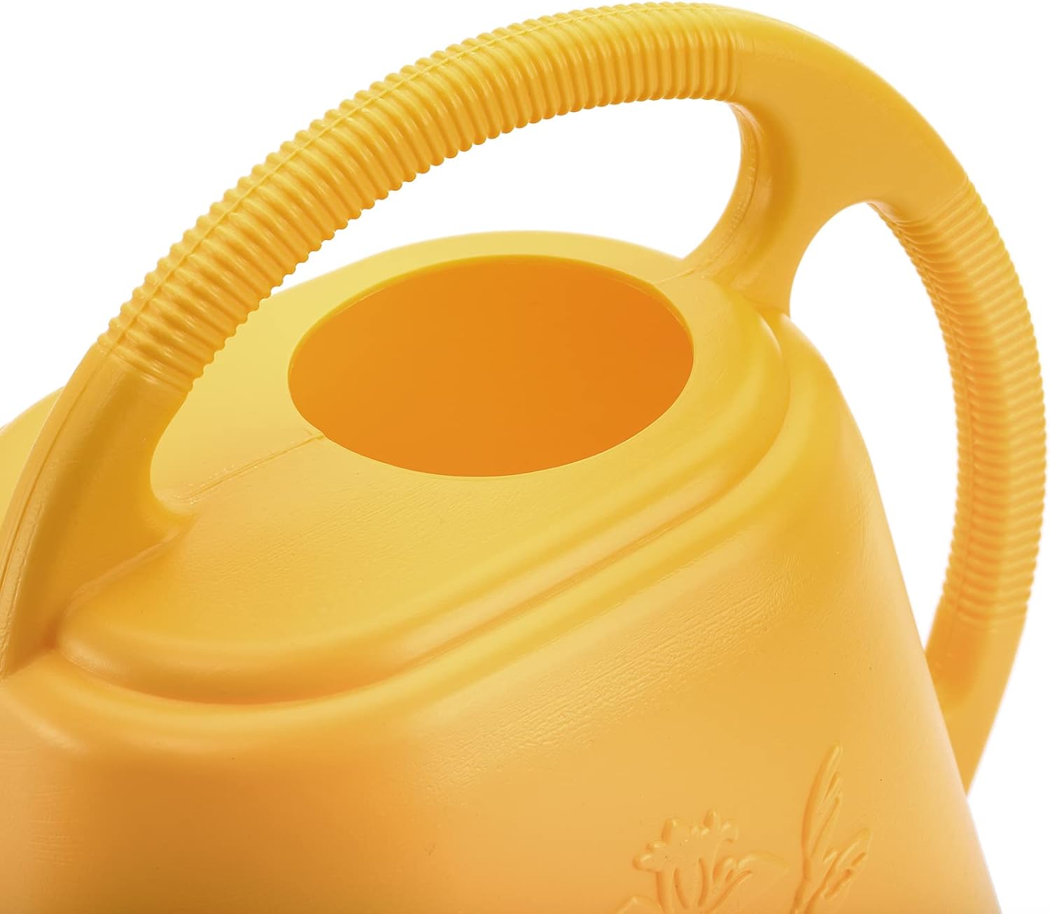 1-Gallon Plastic Watering Can  - Watering Can Long Spout reseña y precio