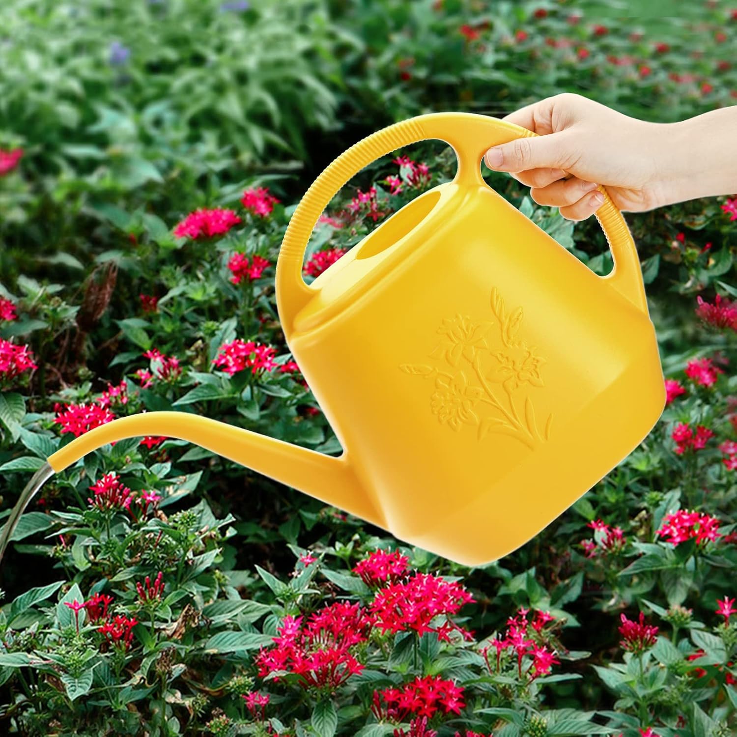 1-Gallon Plastic Watering Can  - Watering Can Long Spout reseña y precio