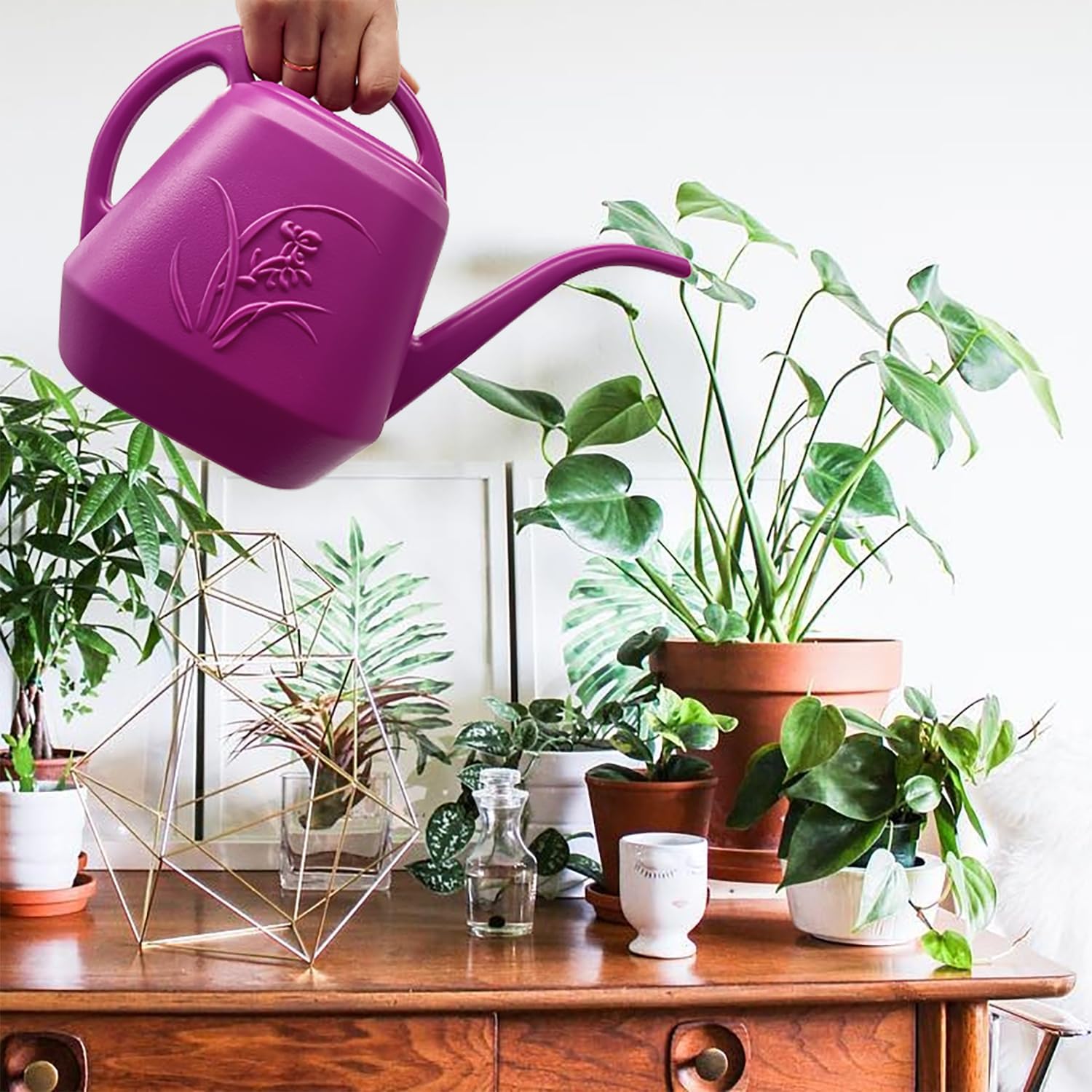 Plant Watering Can 1/2 Gallon  - Watering Can Long Spout reseña y precio